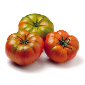 POMODORO MARINDA FRESCO